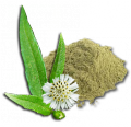 Bhringraj Powder