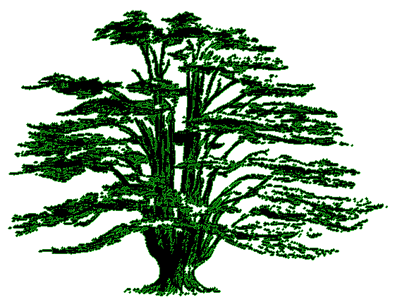 cedartree.gif