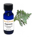 Cypress Essential Oil